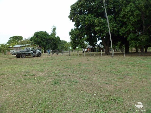 Fazenda à venda com 2 quartos, 9550000m² - Foto 8