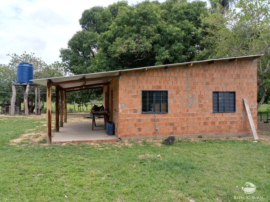 Fazenda à venda com 2 quartos, 9550000m² - Foto 5