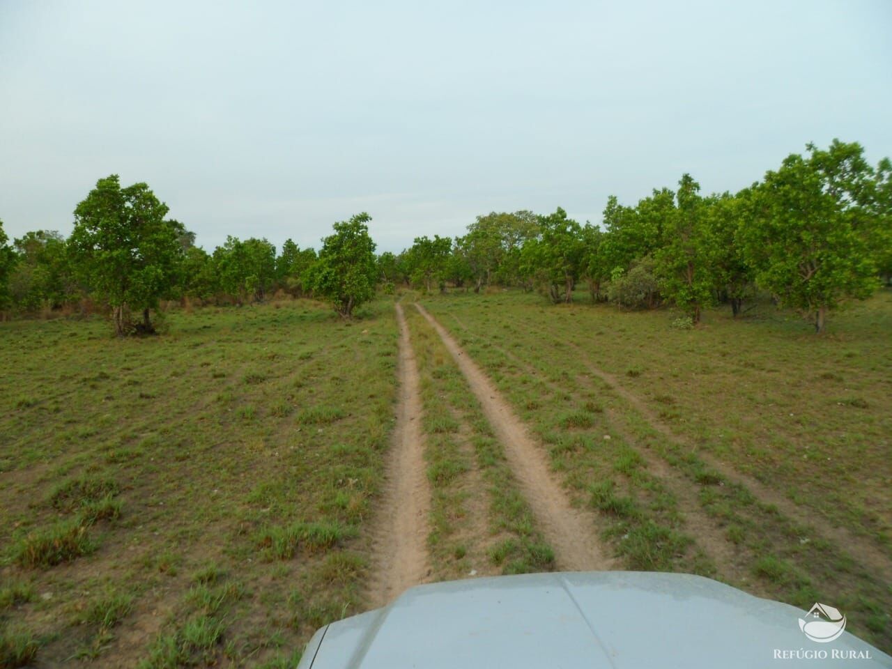 Fazenda à venda com 2 quartos, 9550000m² - Foto 14