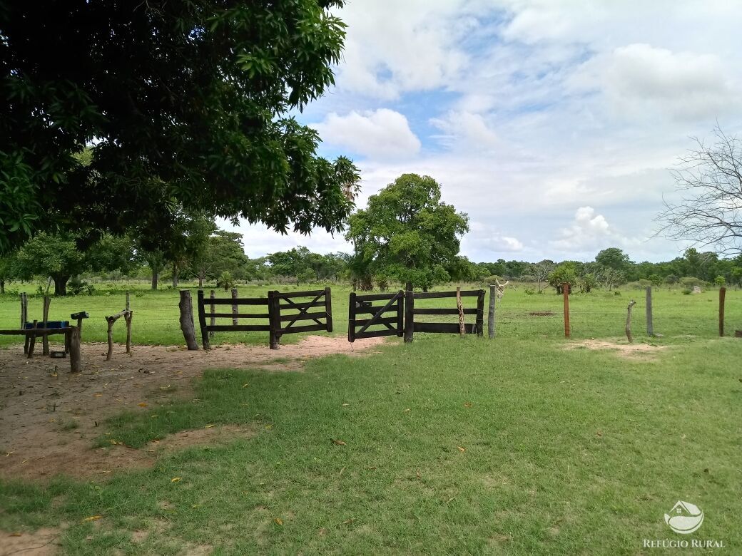 Fazenda à venda com 2 quartos, 9550000m² - Foto 2