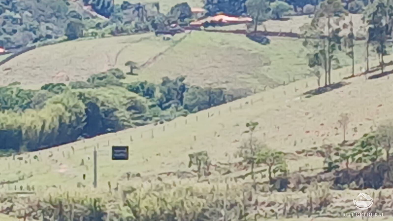 Terreno, 2 hectares - Foto 12