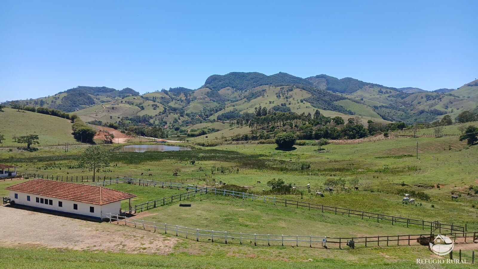 Terreno, 2 hectares - Foto 4