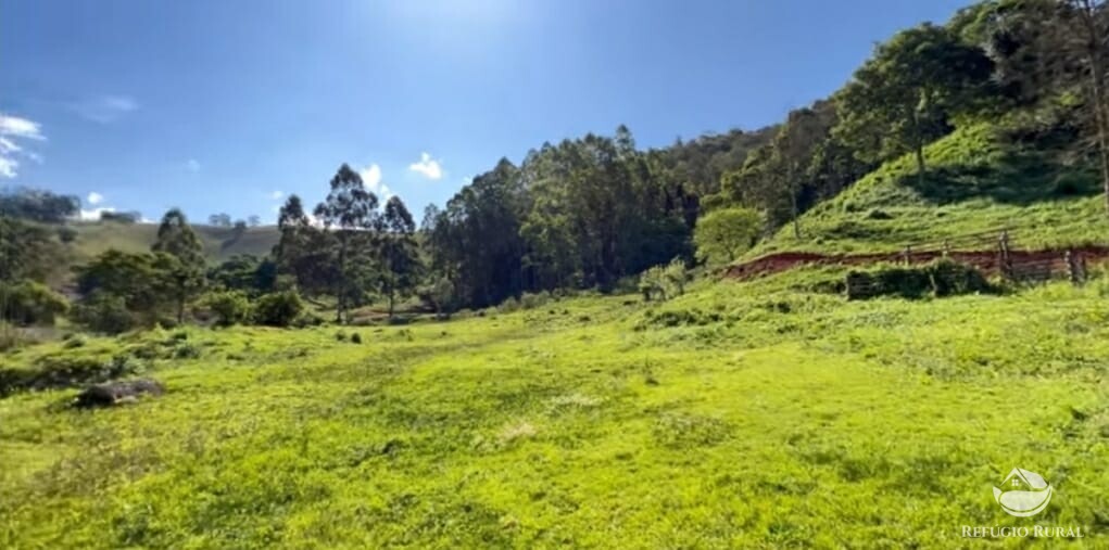 Terreno à venda, 20000m² - Foto 2