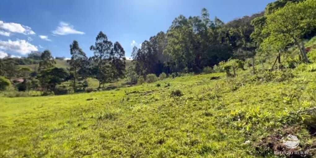 Terreno à venda, 20000m² - Foto 5