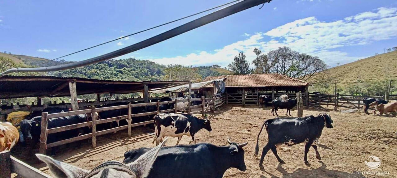 Fazenda à venda com 3 quartos, 152m² - Foto 6