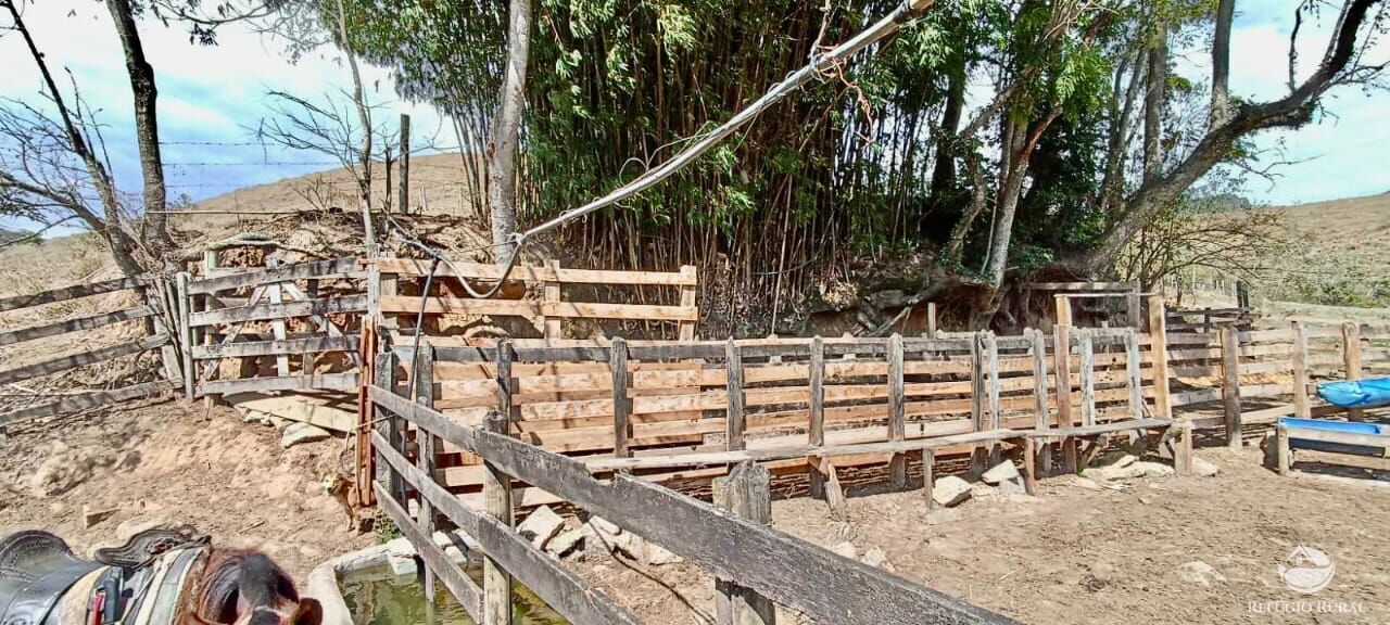 Fazenda à venda com 3 quartos, 152m² - Foto 9