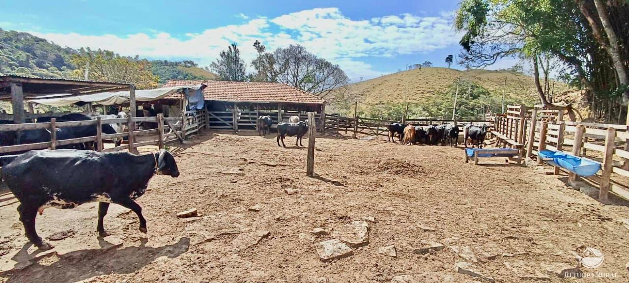 Fazenda à venda com 3 quartos, 152m² - Foto 11