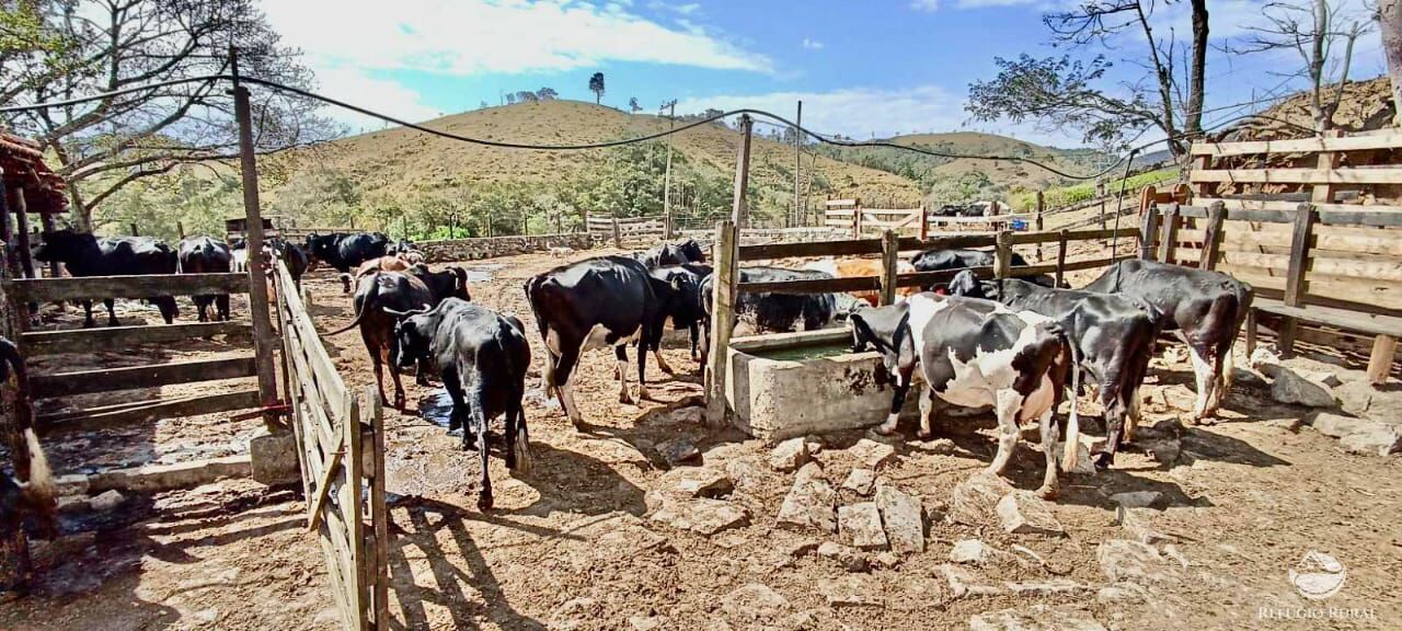 Fazenda à venda com 3 quartos, 152m² - Foto 7