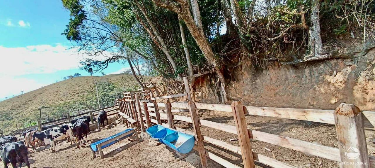 Fazenda à venda com 3 quartos, 152m² - Foto 18
