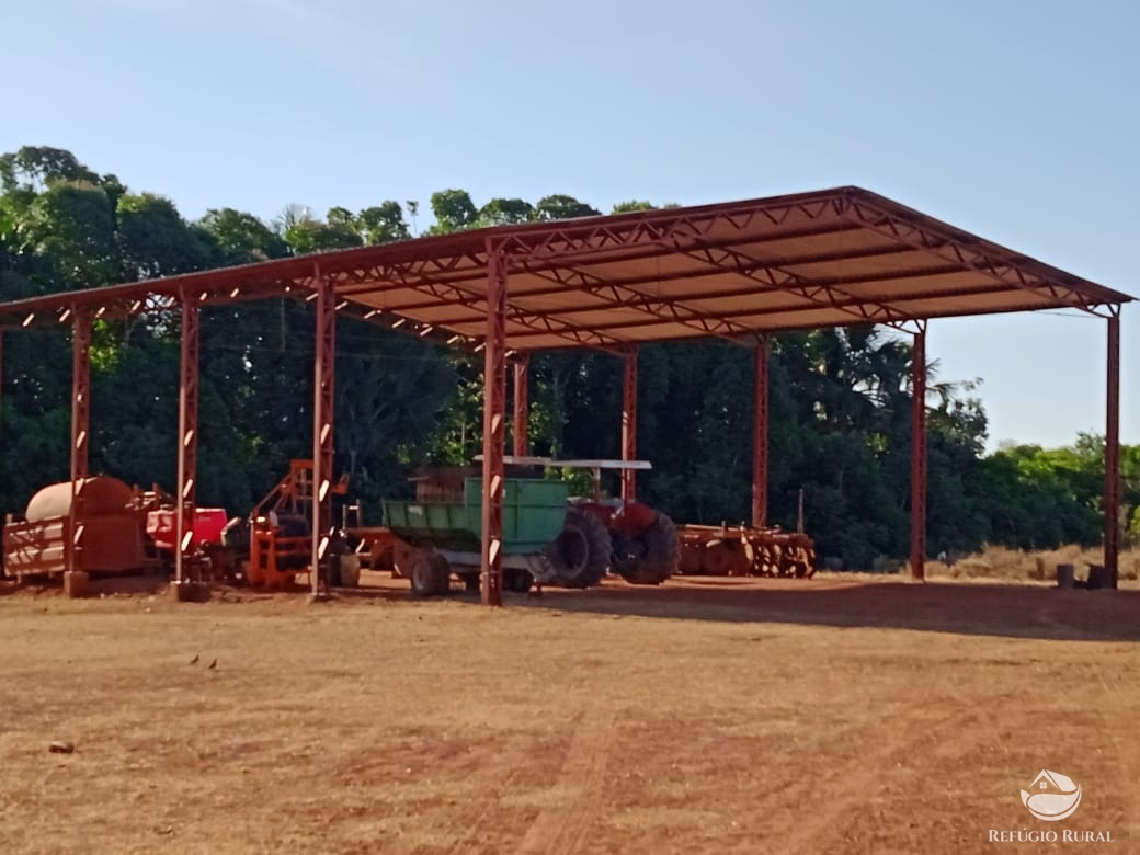 Fazenda à venda com 2 quartos, 46948000m² - Foto 3