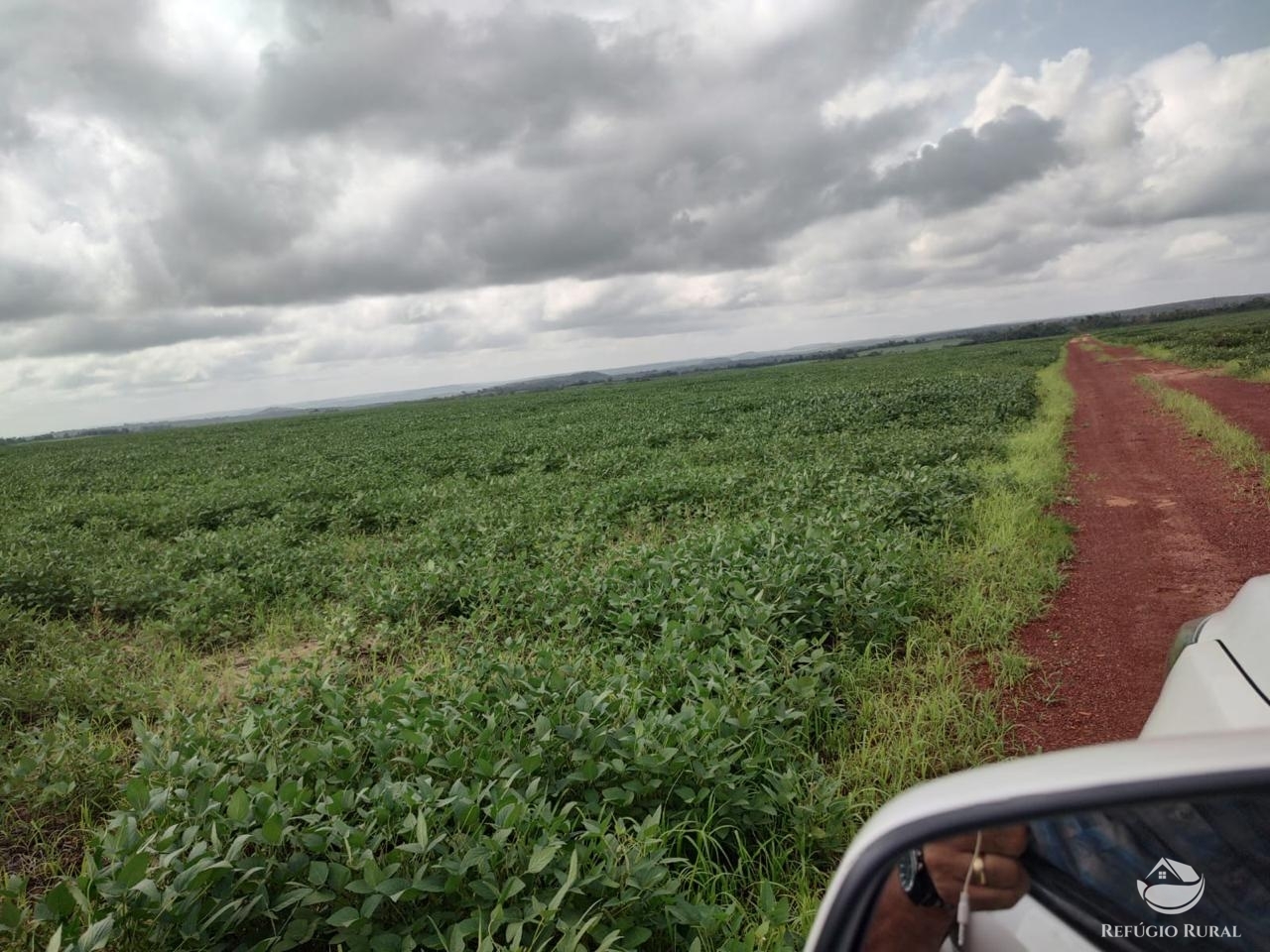 Fazenda à venda com 2 quartos, 46948000m² - Foto 23