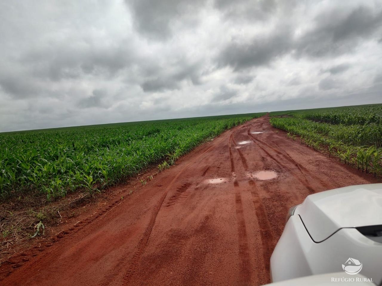 Fazenda à venda com 2 quartos, 46948000m² - Foto 22