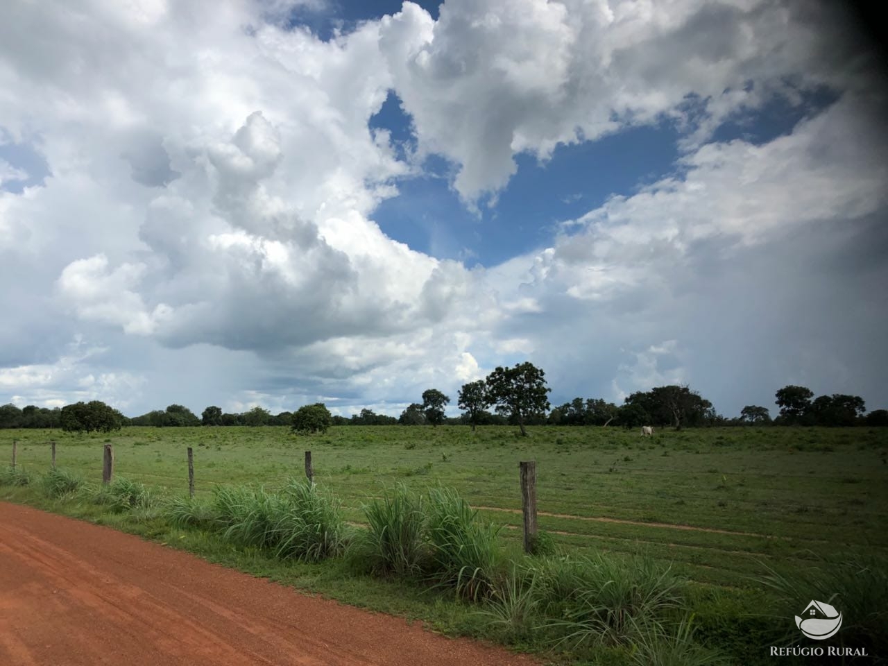 Fazenda à venda com 2 quartos, 46948000m² - Foto 15