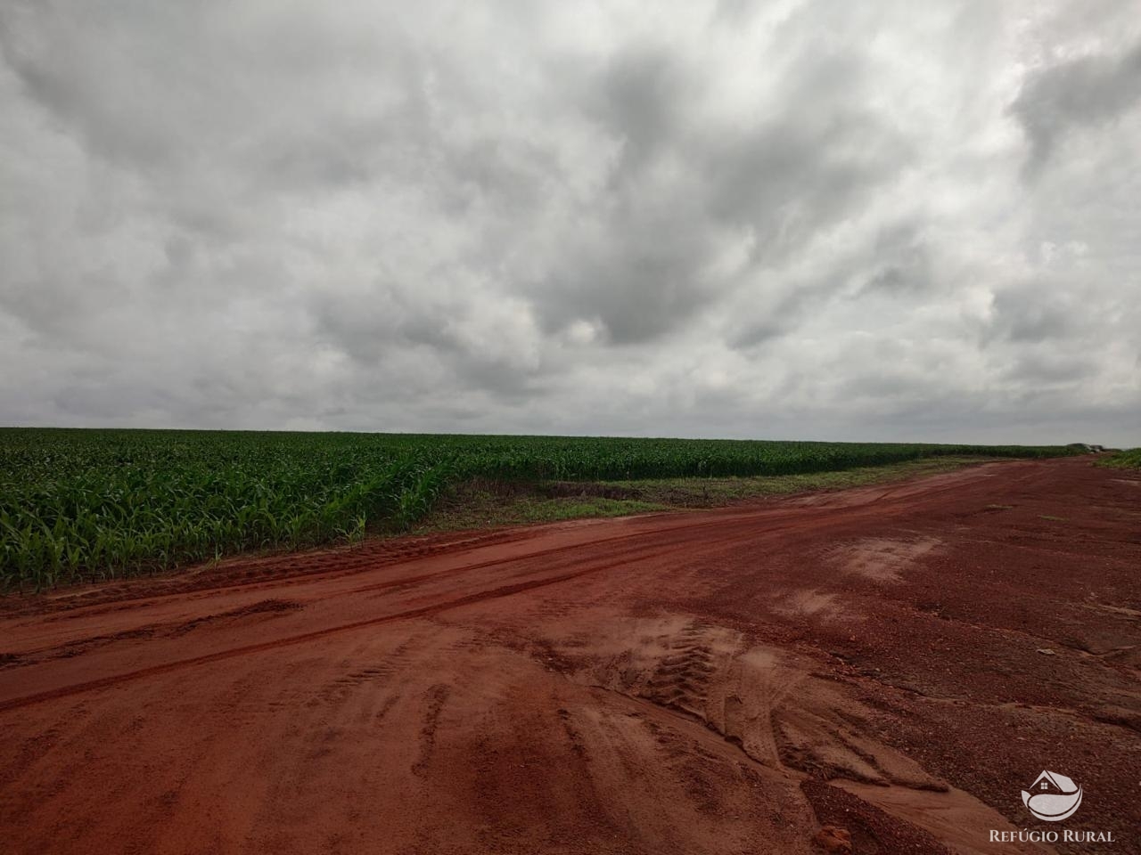 Fazenda à venda com 2 quartos, 46948000m² - Foto 24