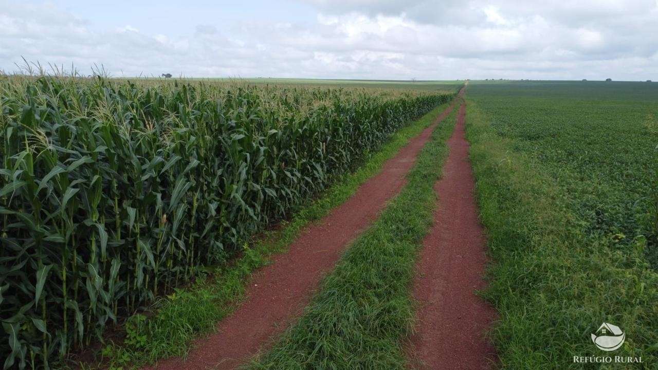 Fazenda à venda com 2 quartos, 46948000m² - Foto 5