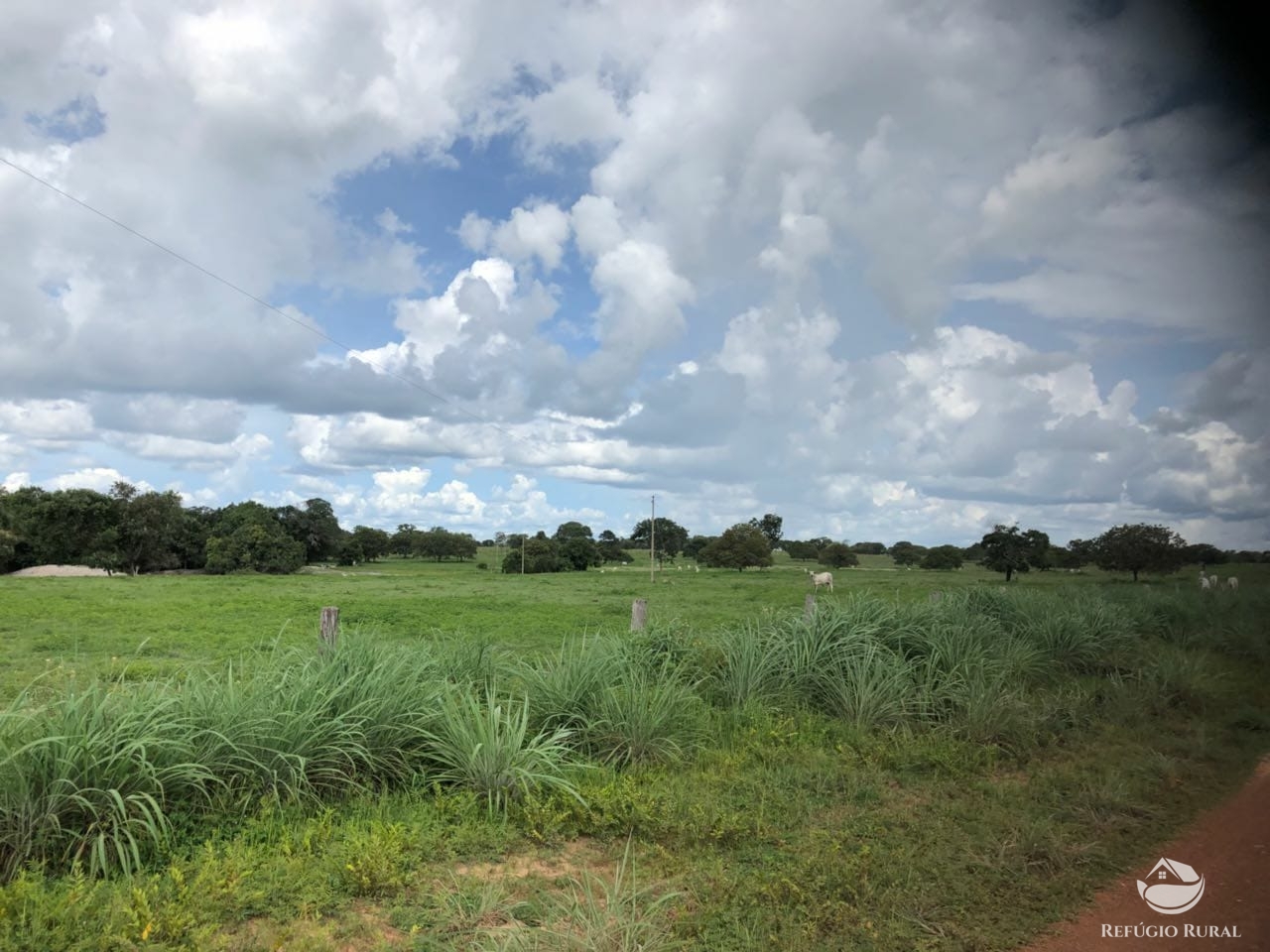 Fazenda à venda com 2 quartos, 46948000m² - Foto 12