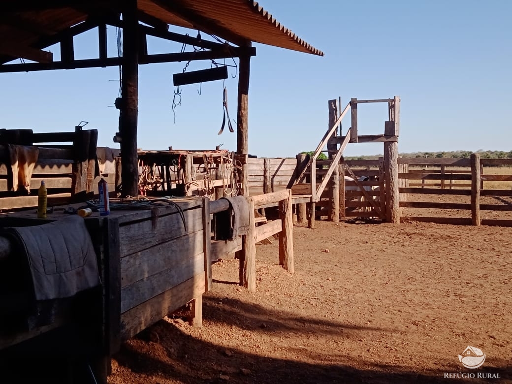 Fazenda à venda com 2 quartos, 46948000m² - Foto 8