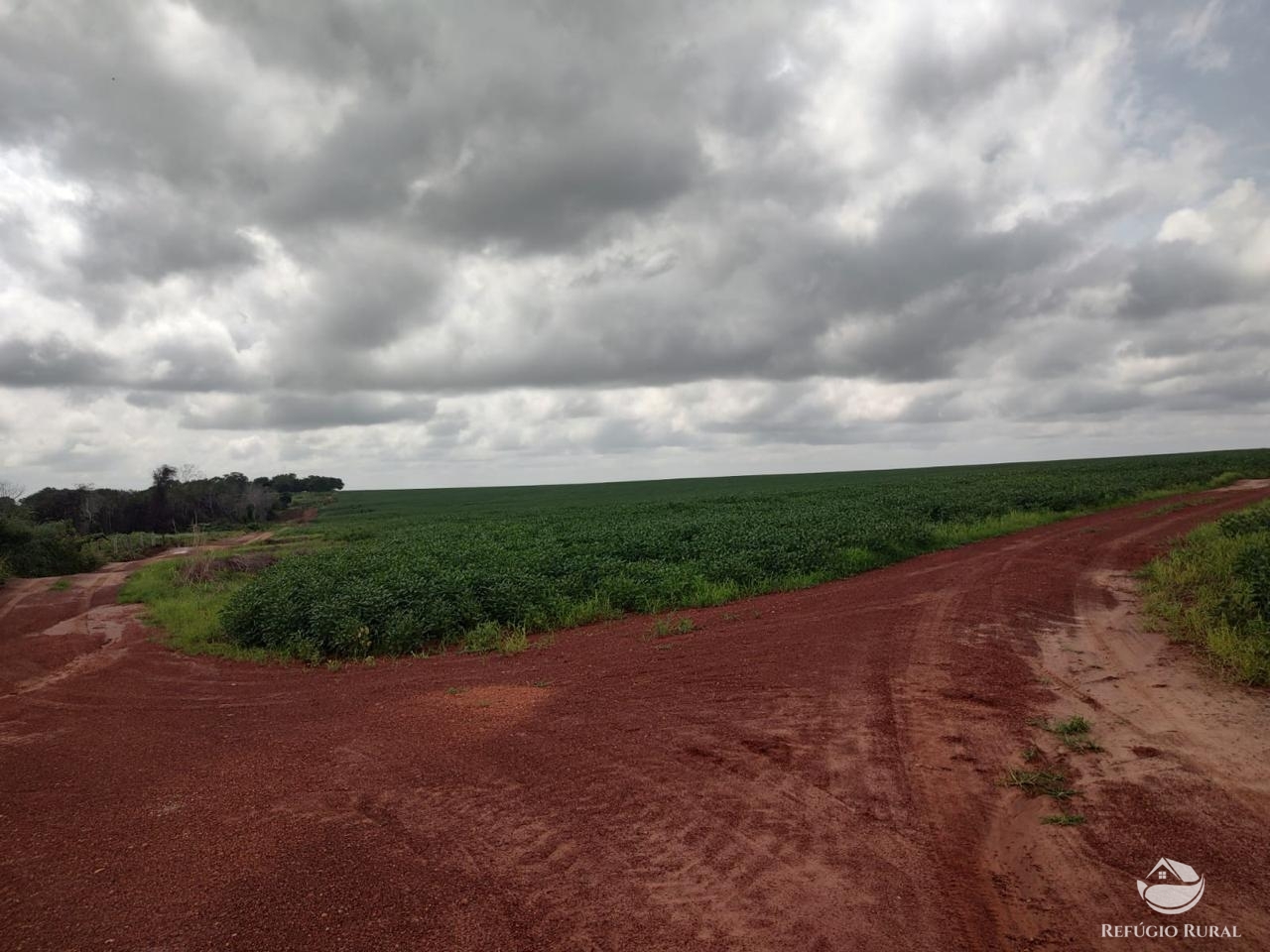 Fazenda à venda com 2 quartos, 46948000m² - Foto 21