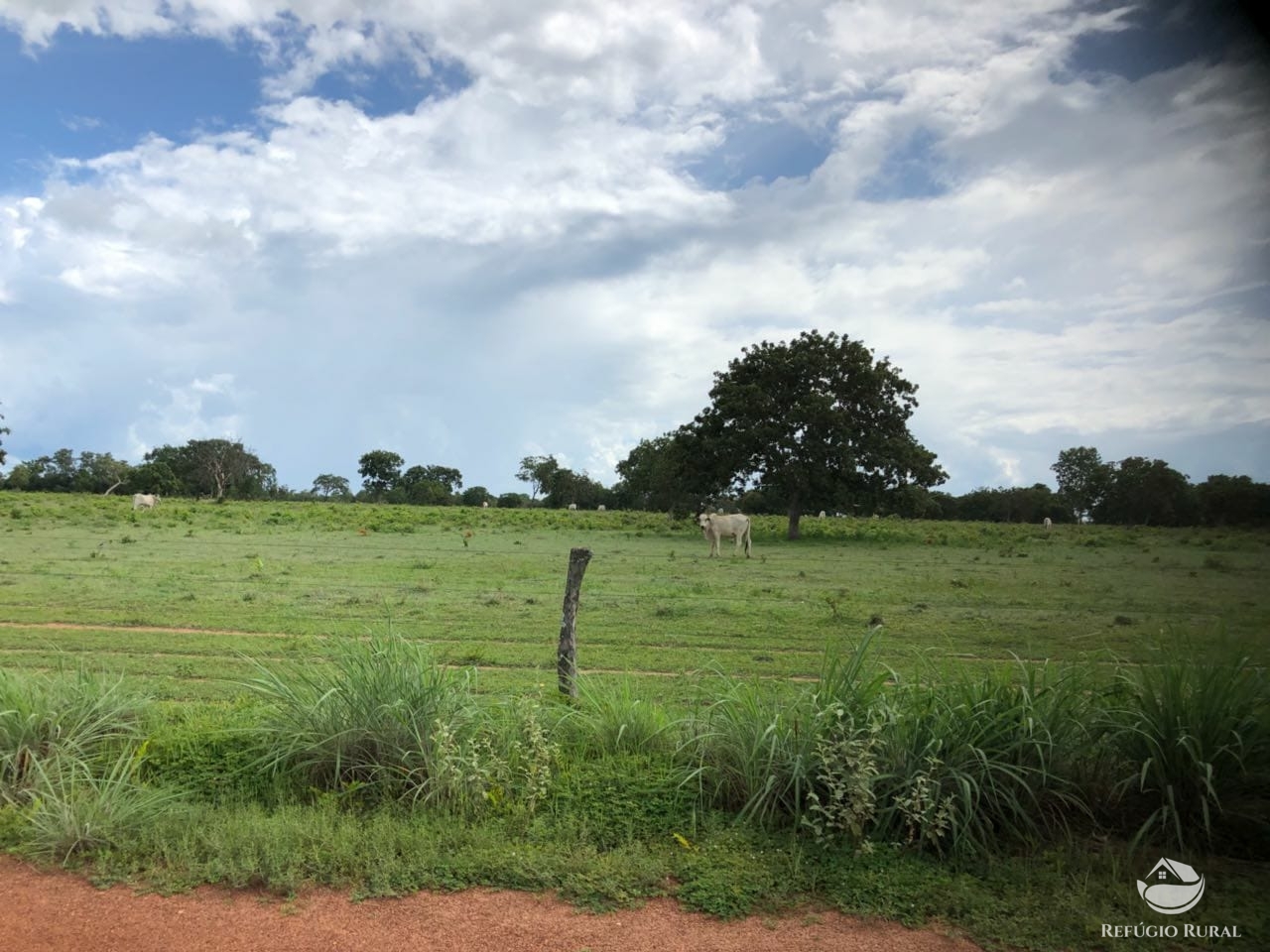 Fazenda à venda com 2 quartos, 46948000m² - Foto 16