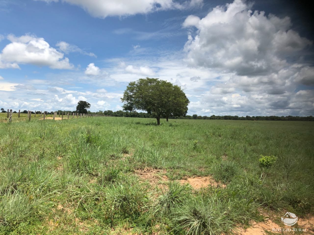 Fazenda à venda com 2 quartos, 46948000m² - Foto 11