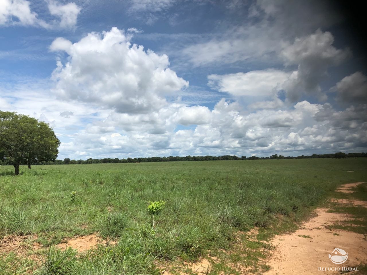 Fazenda à venda com 2 quartos, 46948000m² - Foto 13