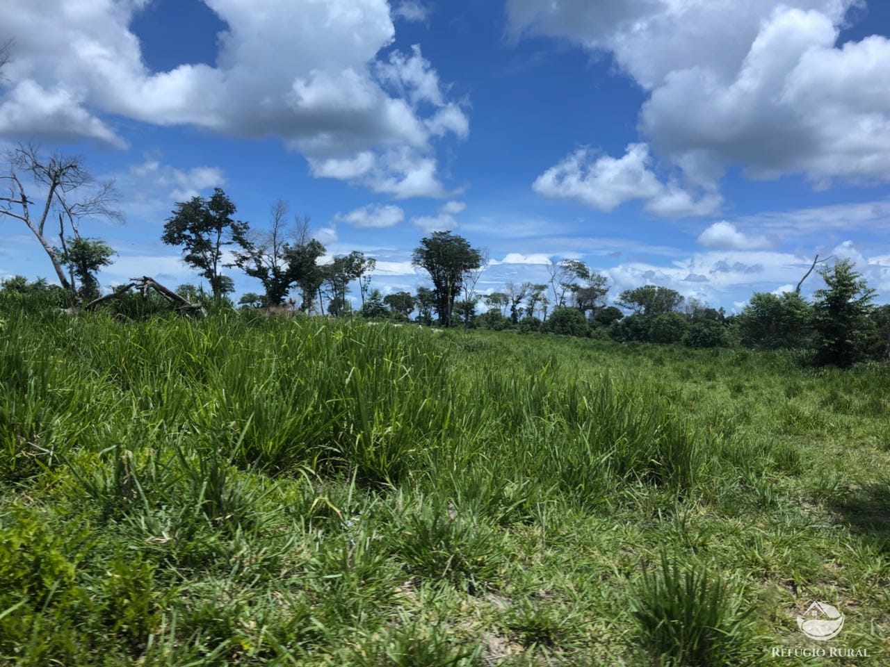 Fazenda à venda com 2 quartos, 46948000m² - Foto 10