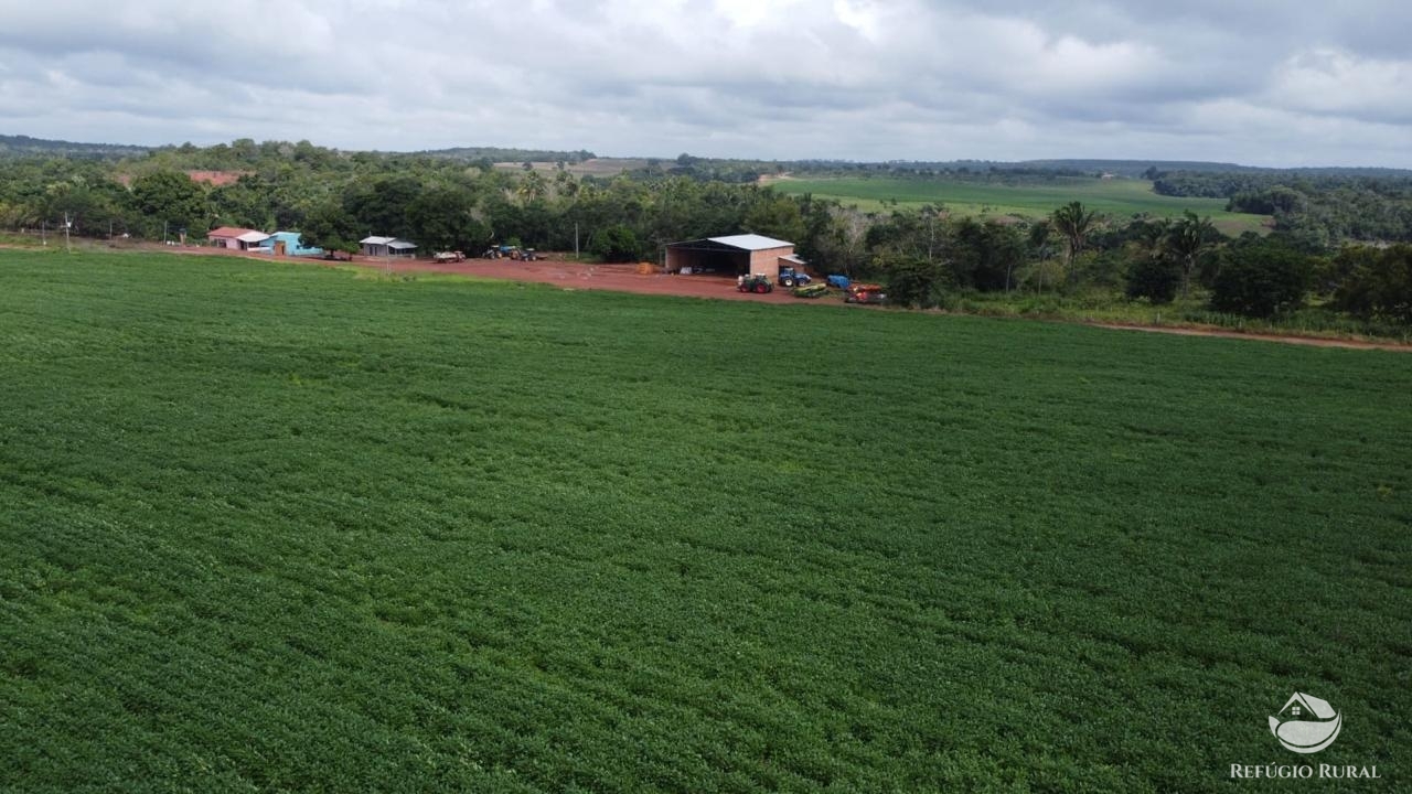 Fazenda à venda com 2 quartos, 46948000m² - Foto 19