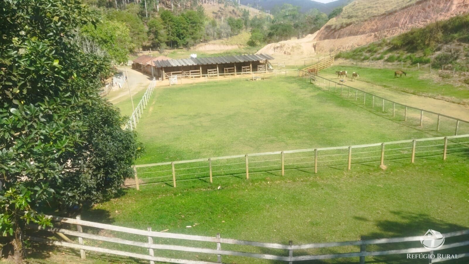 Fazenda à venda com 1 quarto, 242000m² - Foto 23