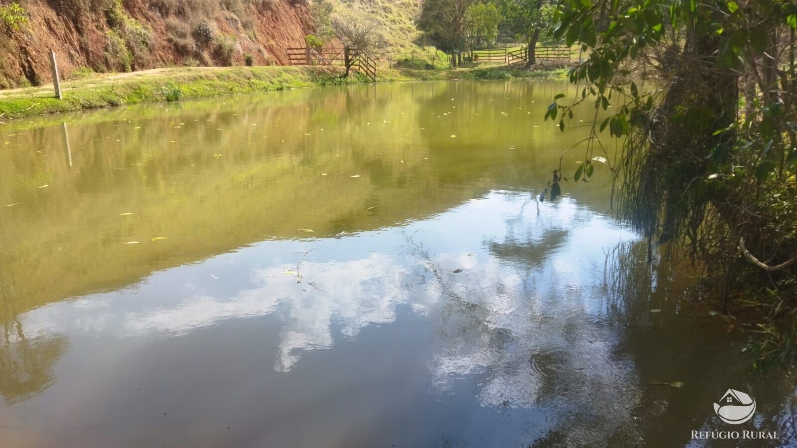 Fazenda à venda com 1 quarto, 242000m² - Foto 10