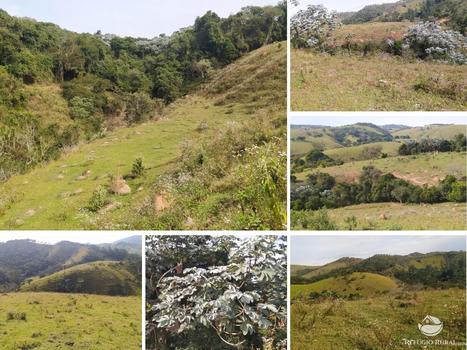 Sítio à venda com 3 quartos, 484000m² - Foto 4