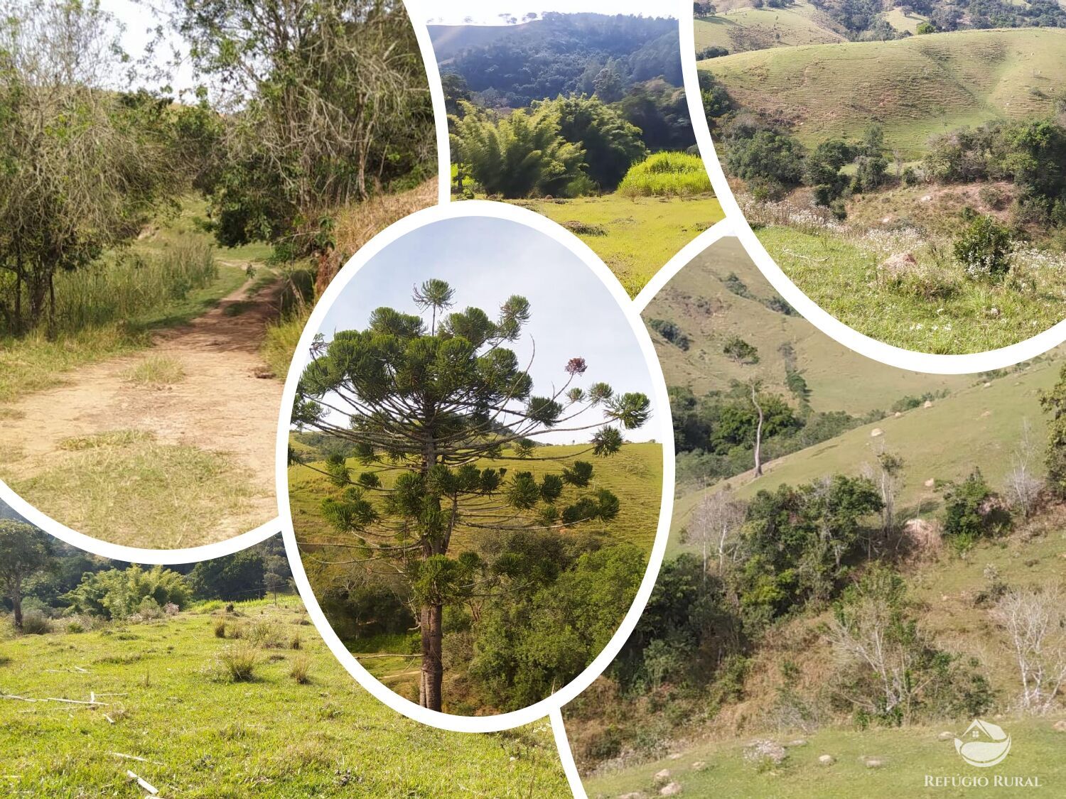 Sítio à venda com 3 quartos, 484000m² - Foto 5