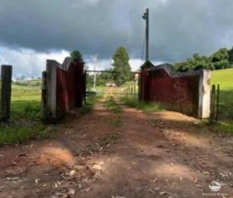 Fazenda, 242 hectares - Foto 9