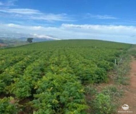 Fazenda, 242 hectares - Foto 1