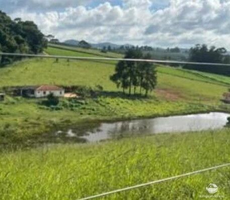 Fazenda, 242 hectares - Foto 5