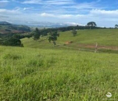 Fazenda, 242 hectares - Foto 12
