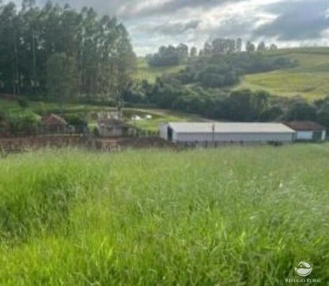 Fazenda, 242 hectares - Foto 3