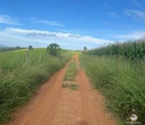 Fazenda, 242 hectares - Foto 7