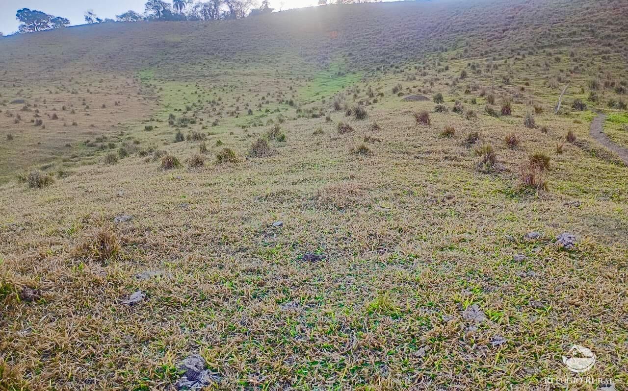 Sítio à venda com 1 quarto, 157300m² - Foto 3
