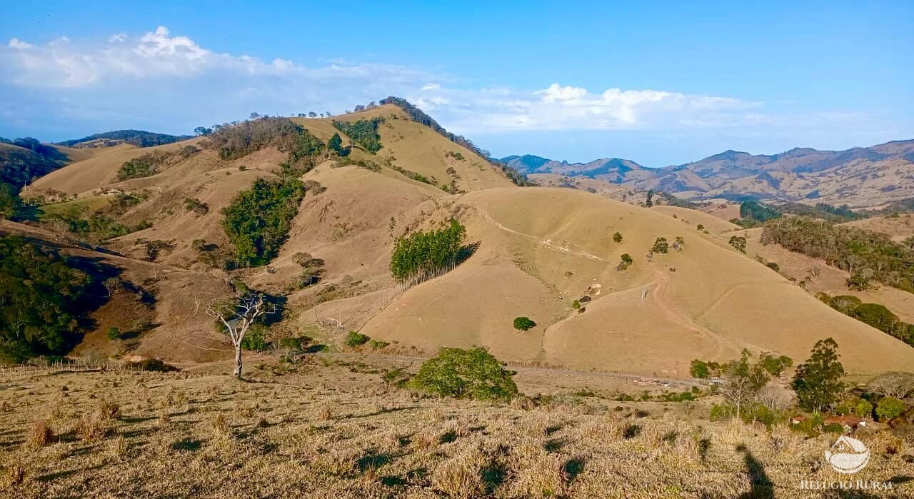 Sítio à venda com 1 quarto, 157300m² - Foto 6
