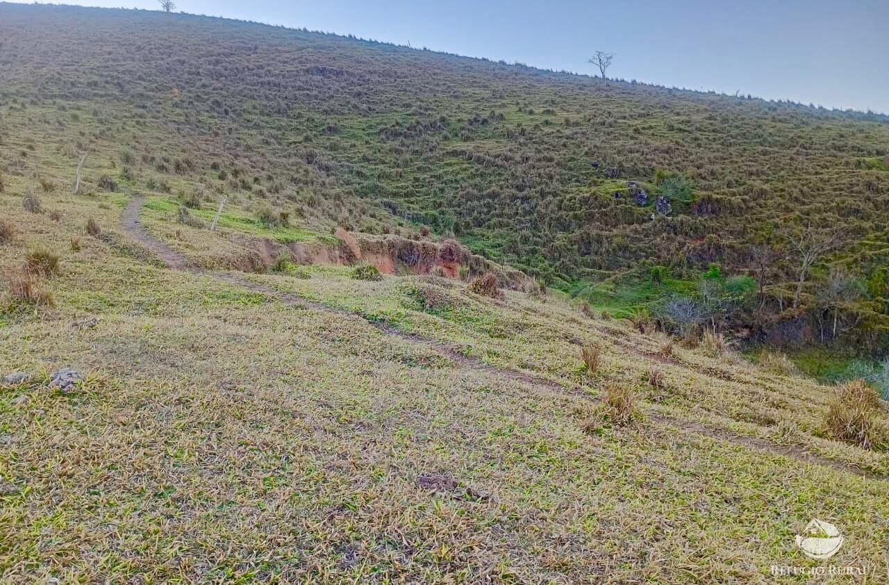 Sítio à venda com 1 quarto, 157300m² - Foto 4
