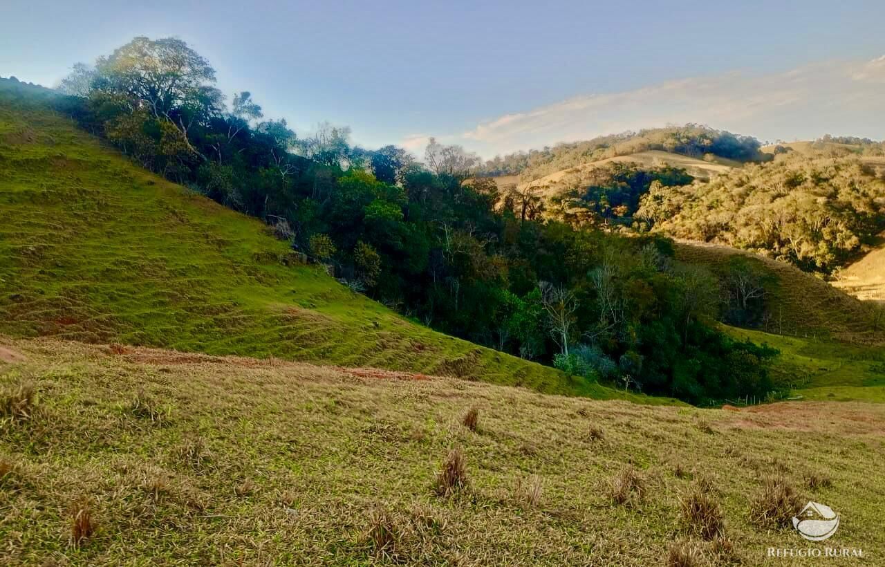 Sítio à venda com 1 quarto, 157300m² - Foto 19