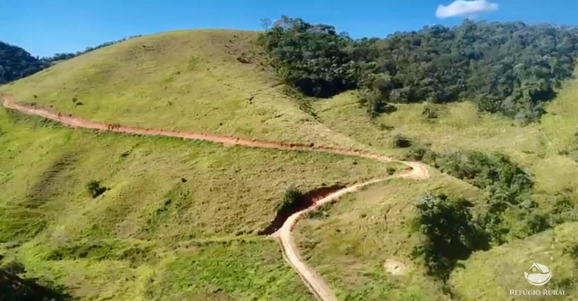 Terreno, 2 hectares - Foto 7