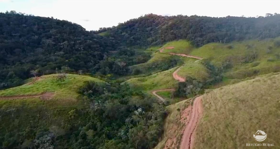 Terreno, 2 hectares - Foto 12