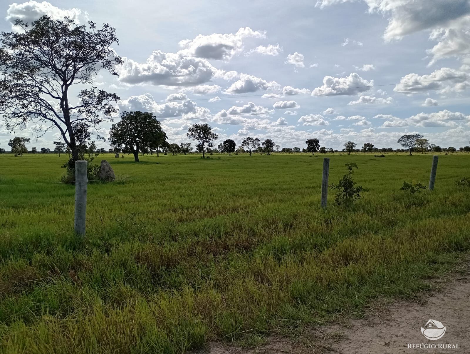 Fazenda, 3911 hectares - Foto 2