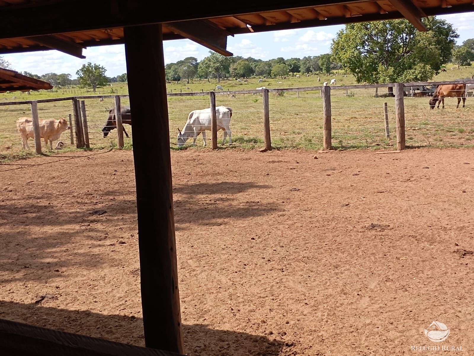 Fazenda em Araguaiana/Mato Grosso — Ref H00PI6 — Imagem 16