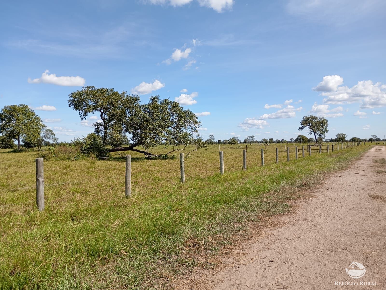 Fazenda em Araguaiana/Mato Grosso — Ref H00PI6 — Imagem 20
