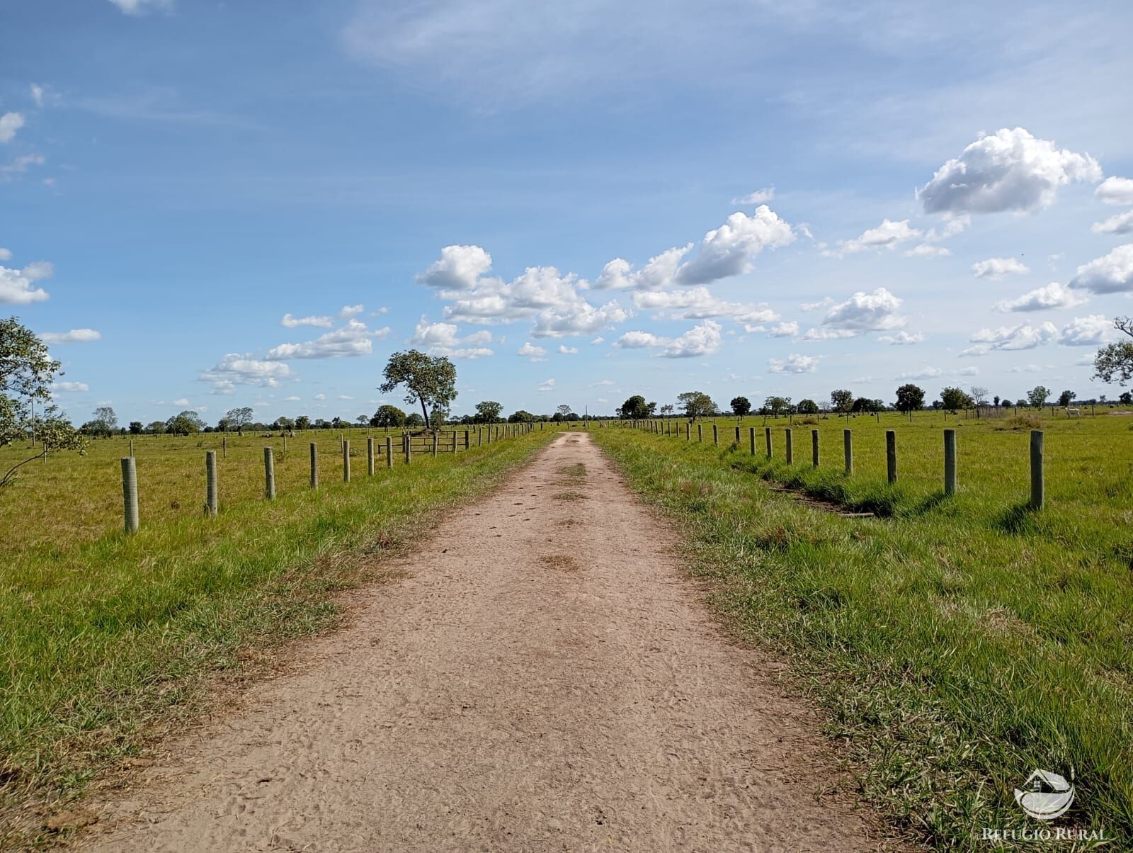 Fazenda em Araguaiana/Mato Grosso — Ref H00PI6 — Imagem 23