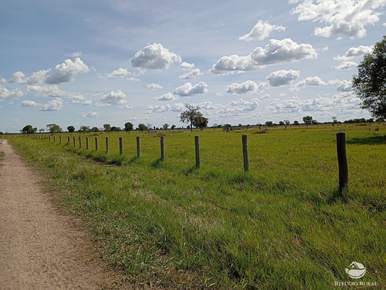 Fazenda em Araguaiana/Mato Grosso — Ref H00PI6 — Imagem 21