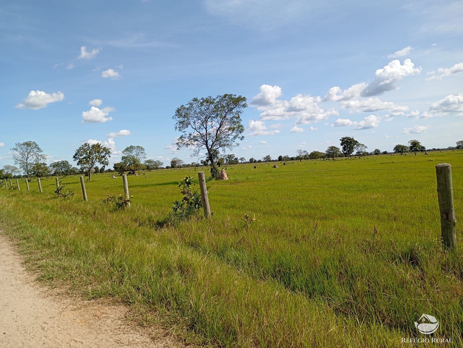 Fazenda, 3911 hectares - Foto 4