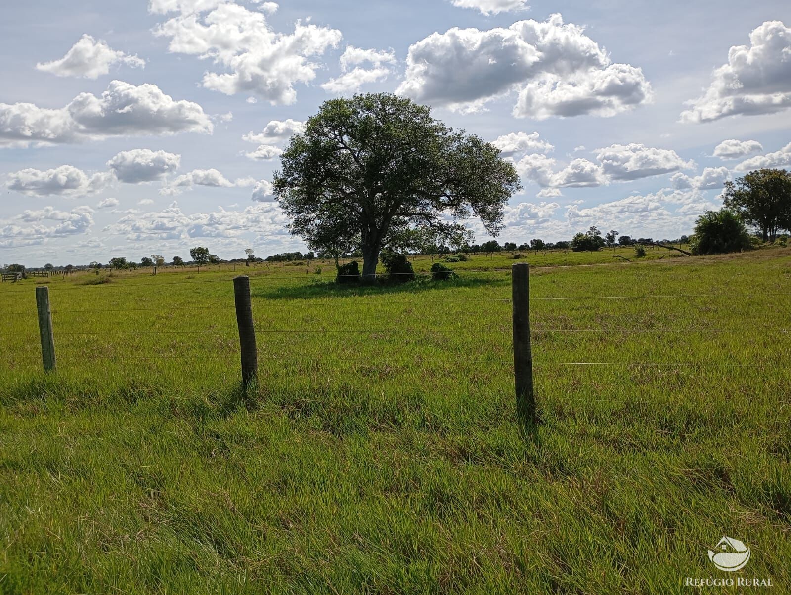 Fazenda, 3911 hectares - Foto 3
